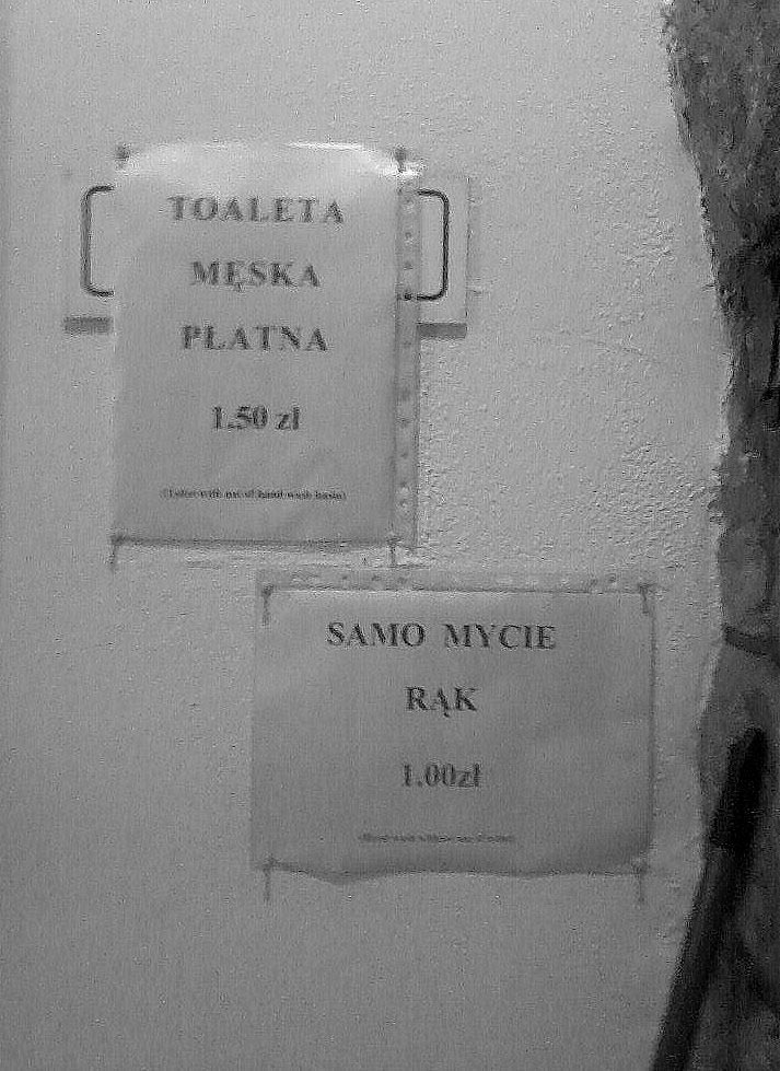 Zdjęcie 2. Autor: Anna Bojarowicz