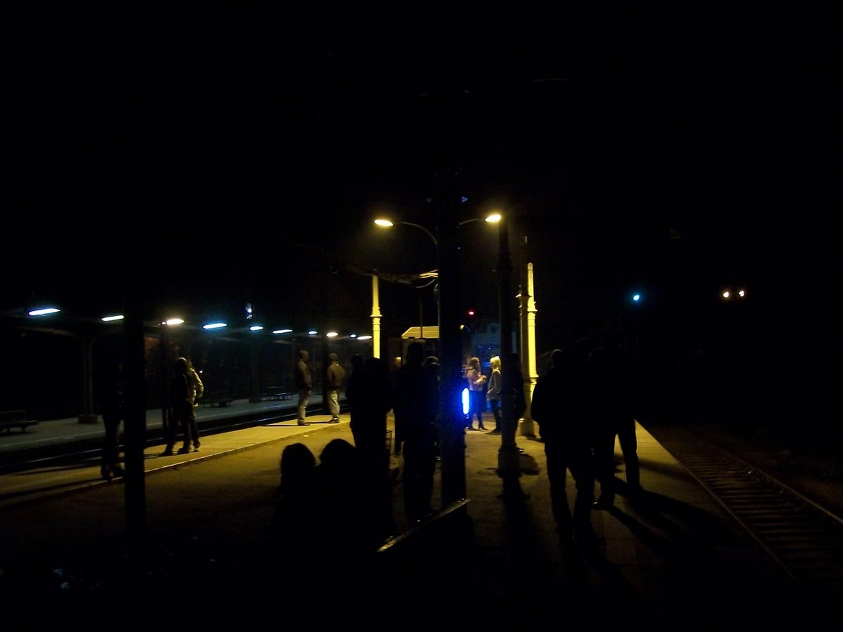 Zdjęcie 1. Autor: Katarzyna Stachowska