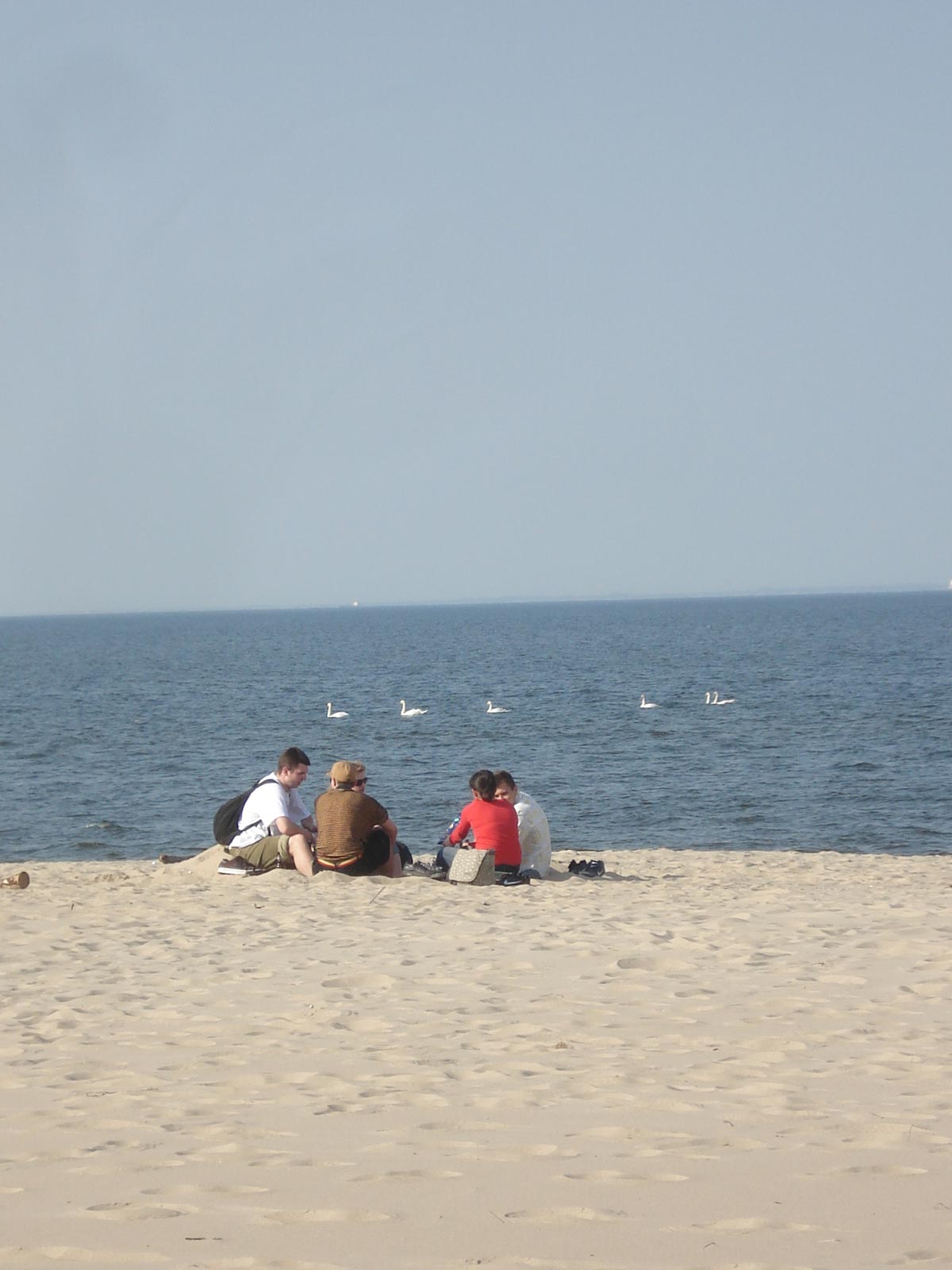 Zdjęcie 2. Autor: Marta Korotkiewicz