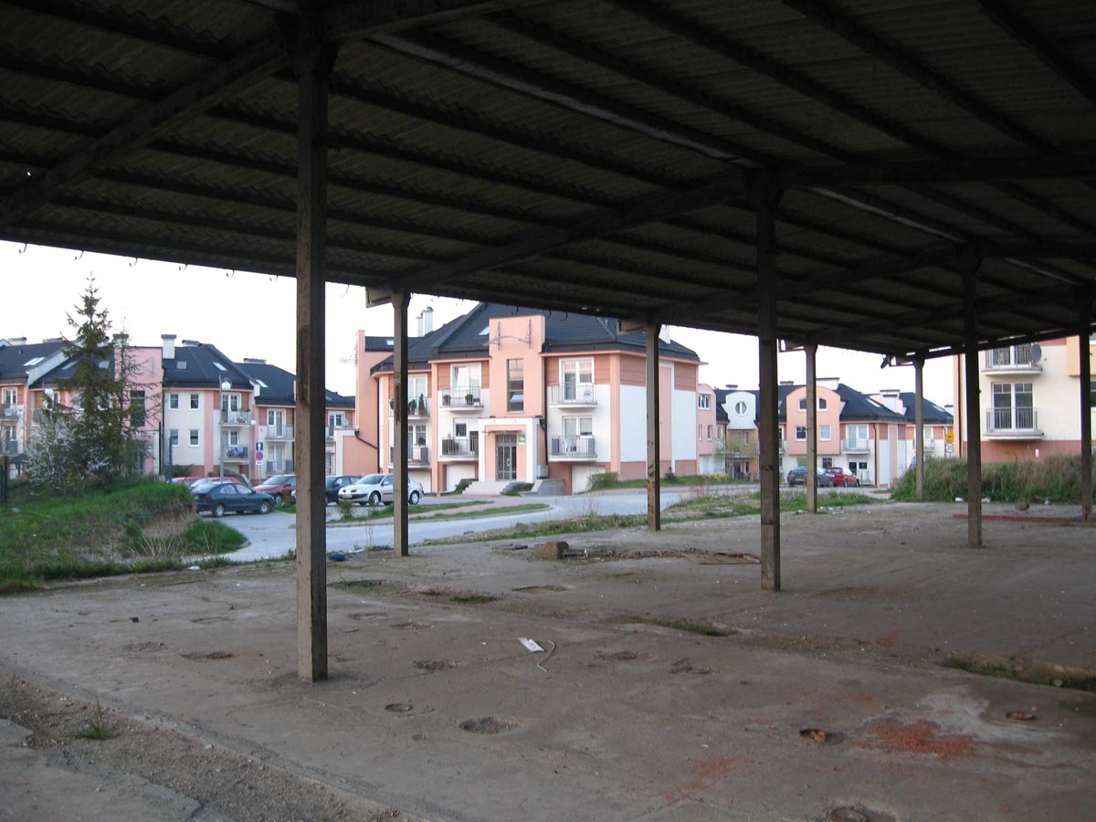 Zdjęcie 5. Autor: Piotr Zbieranek